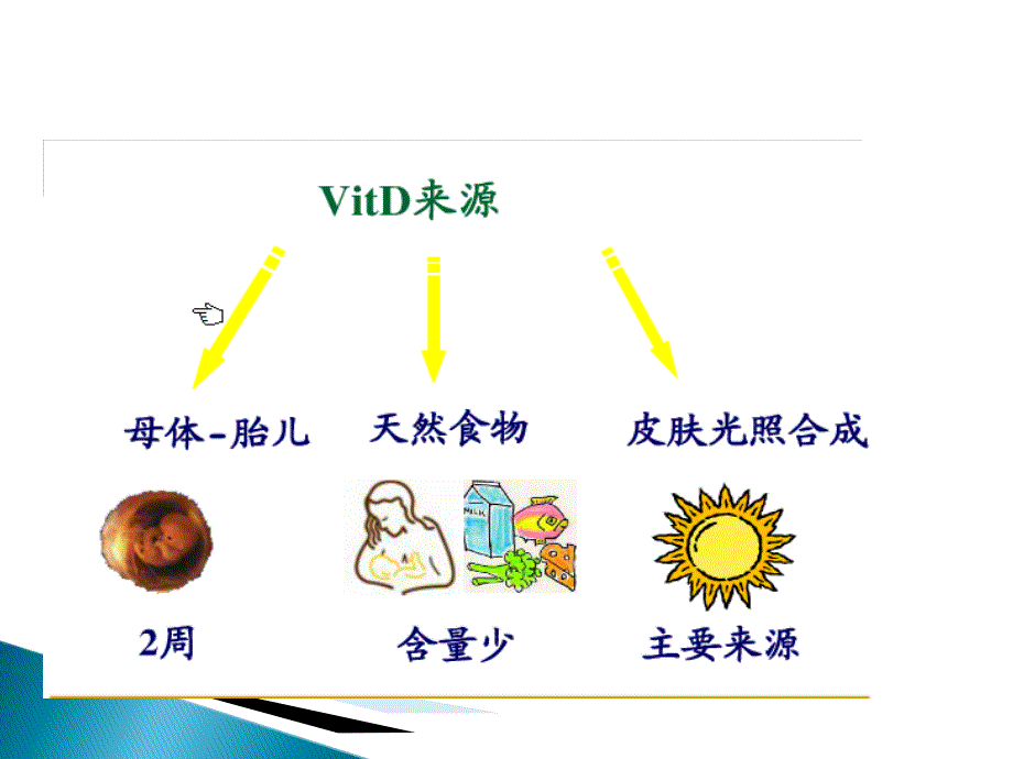 维生素d-课件.ppt_第4页