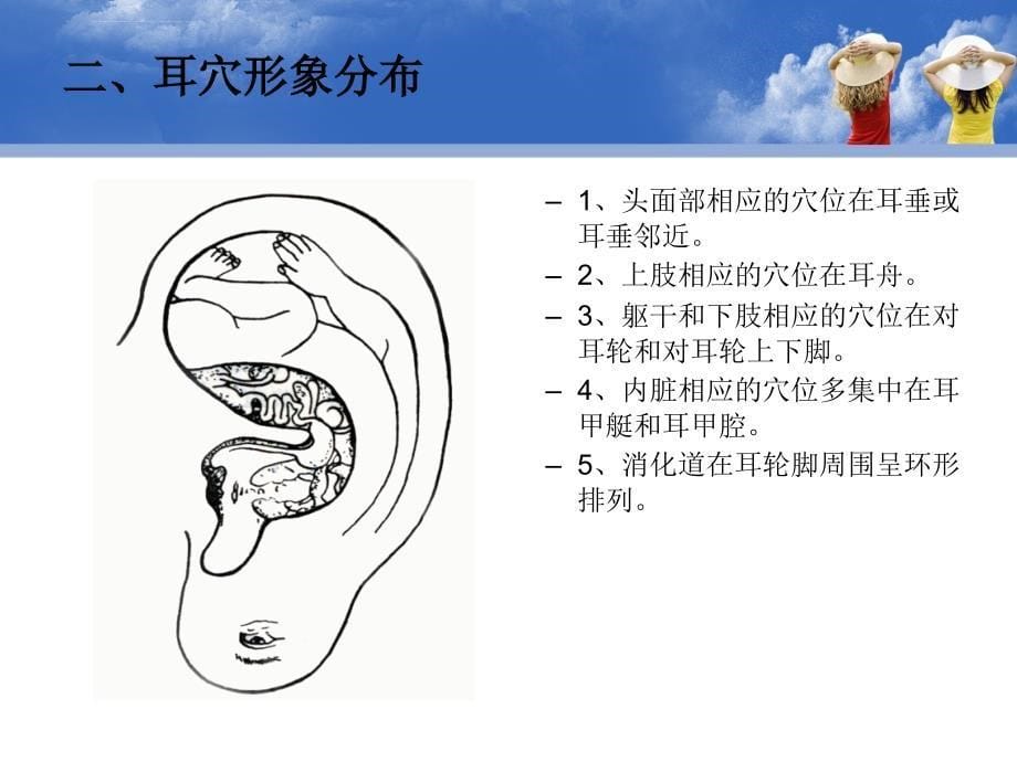 耳穴诊疗法.ppt_第5页