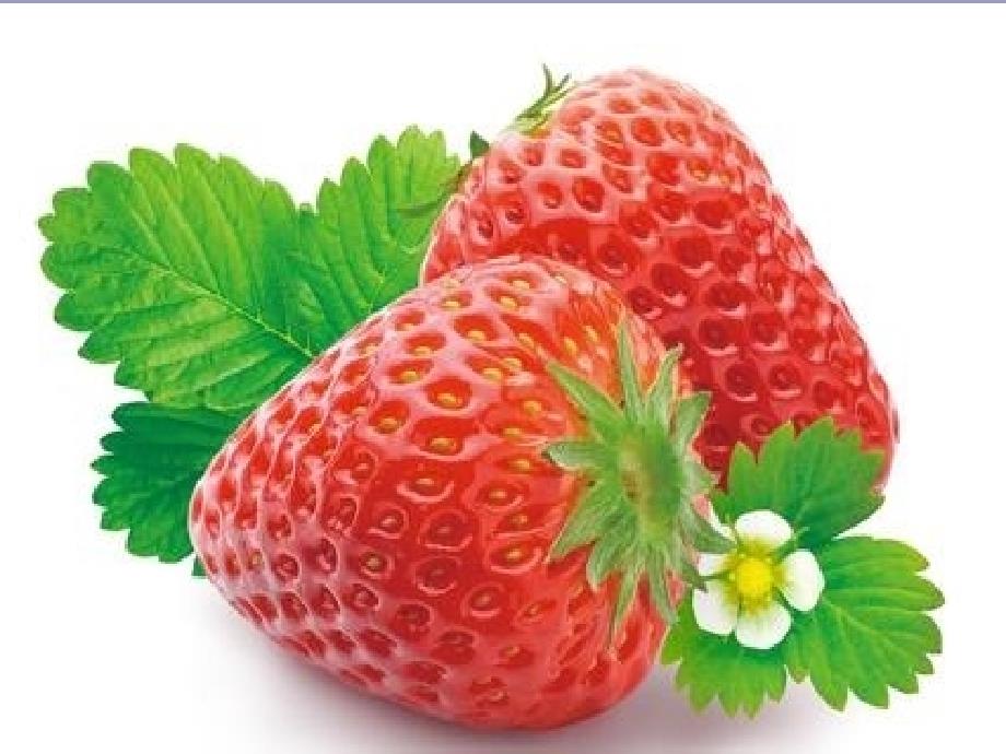 六年级综合实践活动课件-草莓栽植与管理 全国通用(共17张PPT)_第1页