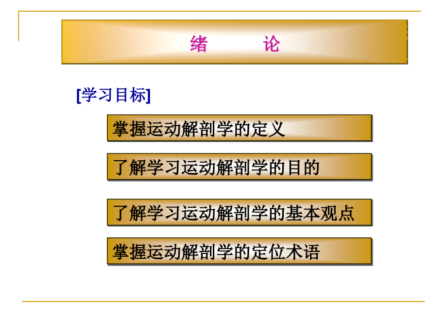 运动解剖学比较好的课件.ppt_第2页