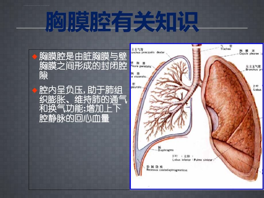 胸腔闭式引流术课件_3.ppt_第2页