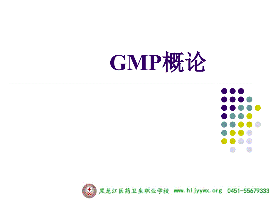 药学专业-gmp实务-gmp概论.ppt_第1页