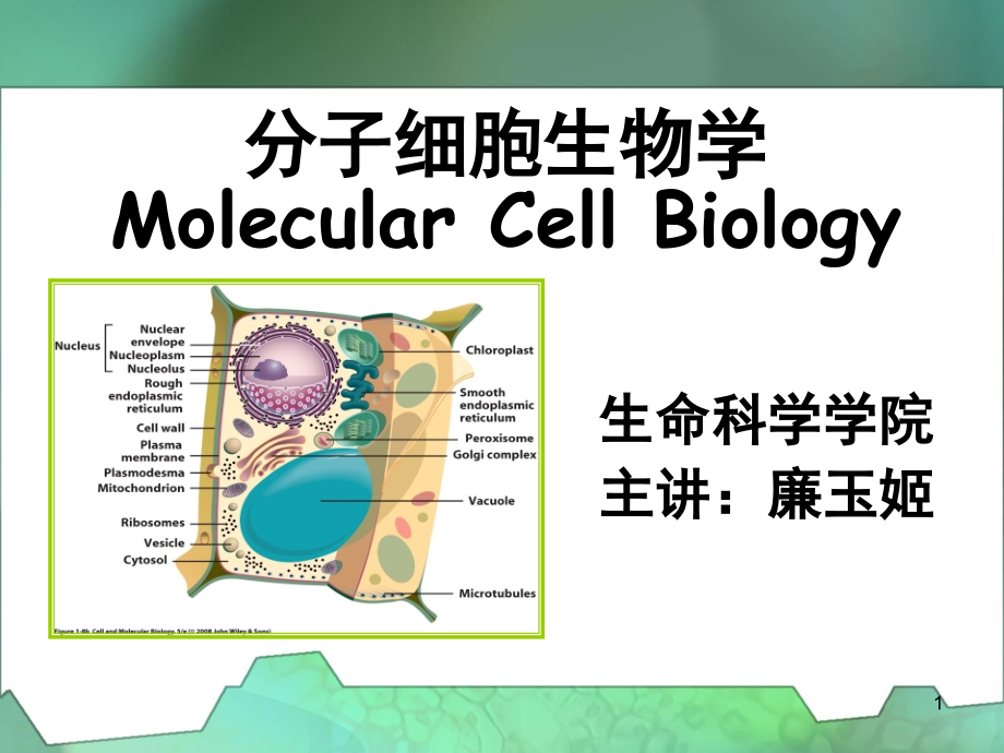 第一章-细胞概述.ppt_第1页