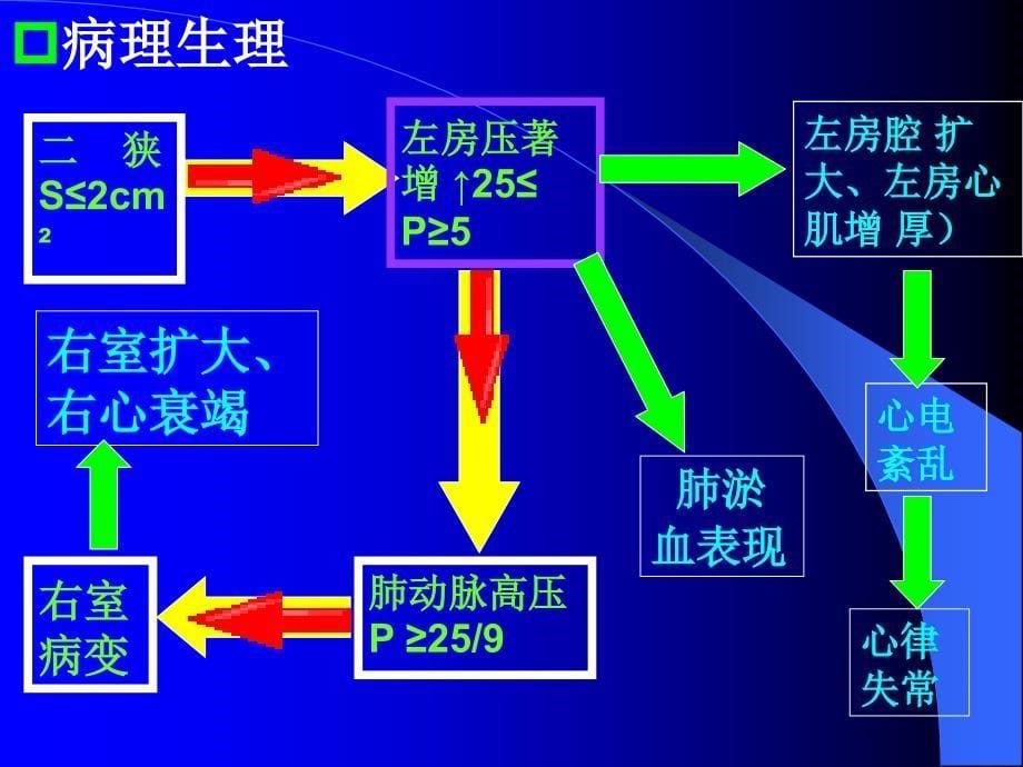 心瓣膜病 黔东南州人民医院心内科_第5页