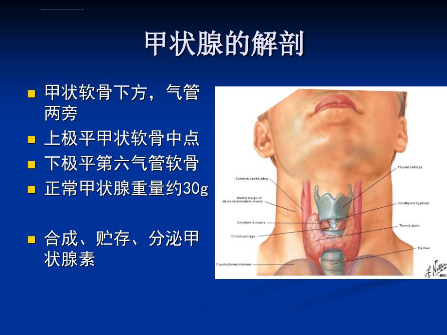 甲状腺癌诊疗进展(基于指南的解读).ppt_第3页