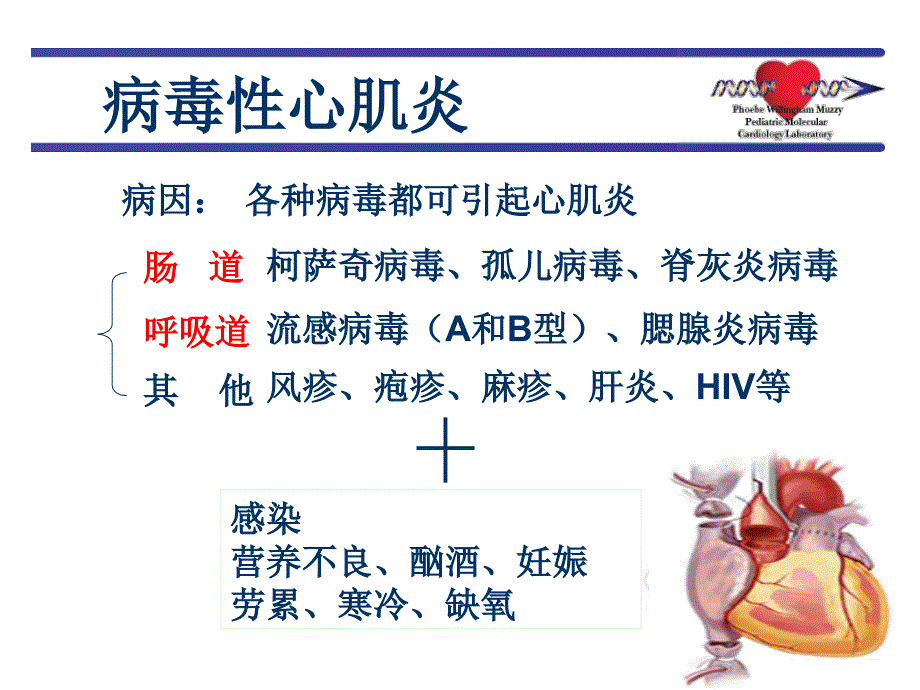 病毒性心肌炎-2_2.ppt_第4页