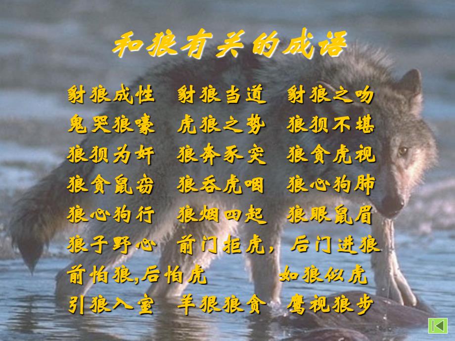 《狼》课件.ppt_第4页