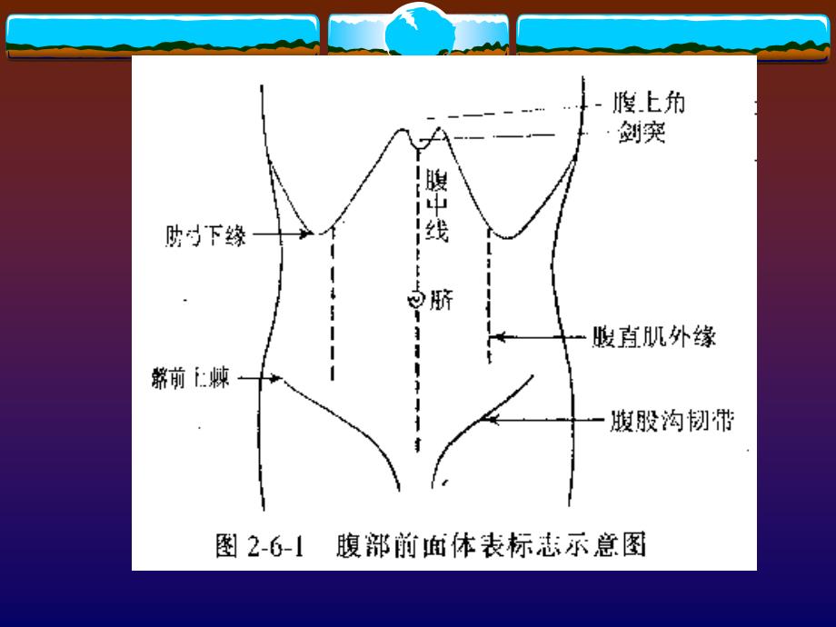 诊断学课件(腹部)_2.ppt_第3页