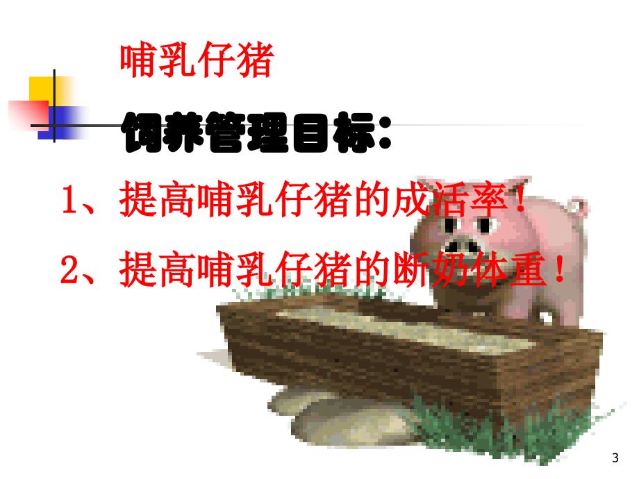 哺乳仔猪的管理_2.ppt_第3页