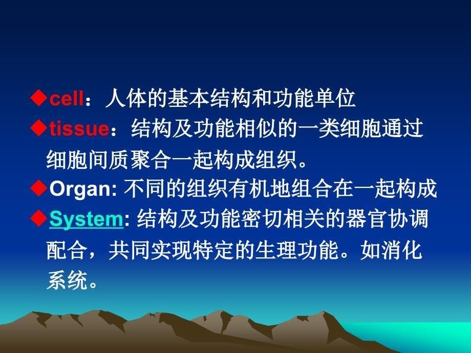 人体解刨生理学绪论讲义_第5页