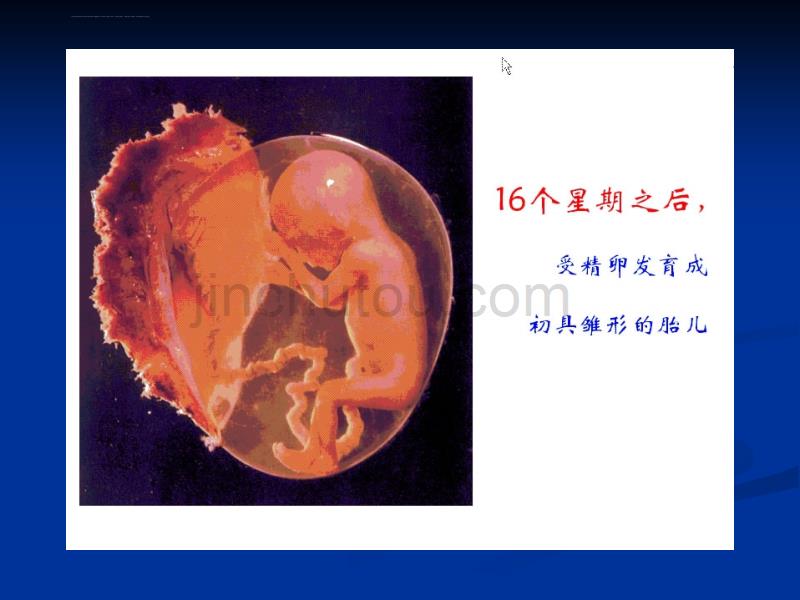 第一讲-宏亮营养素与健康.ppt_第4页