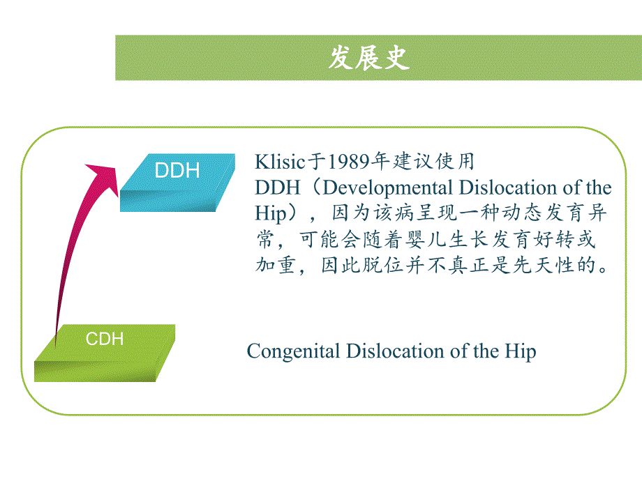 发育性髋关节脱位资料_第3页