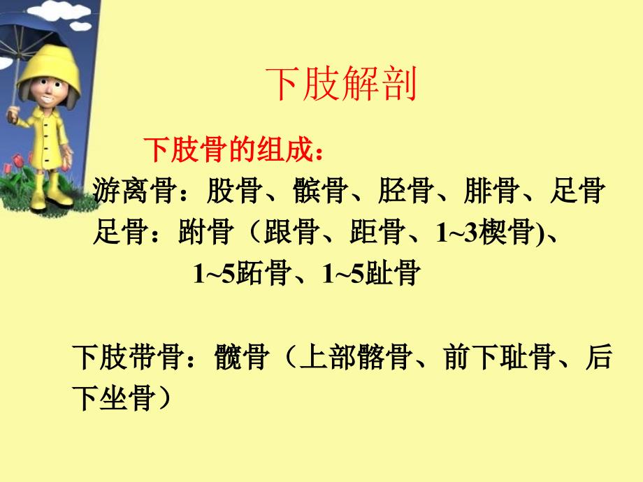 四肢摄影（下肢）.ppt_第3页