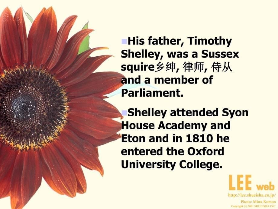 shelly 雪莱 英国文学_第5页