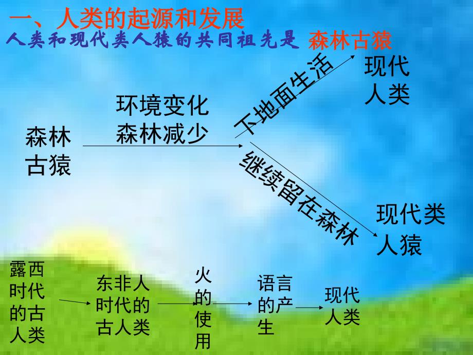 生物总复习晨读课件.ppt_第2页