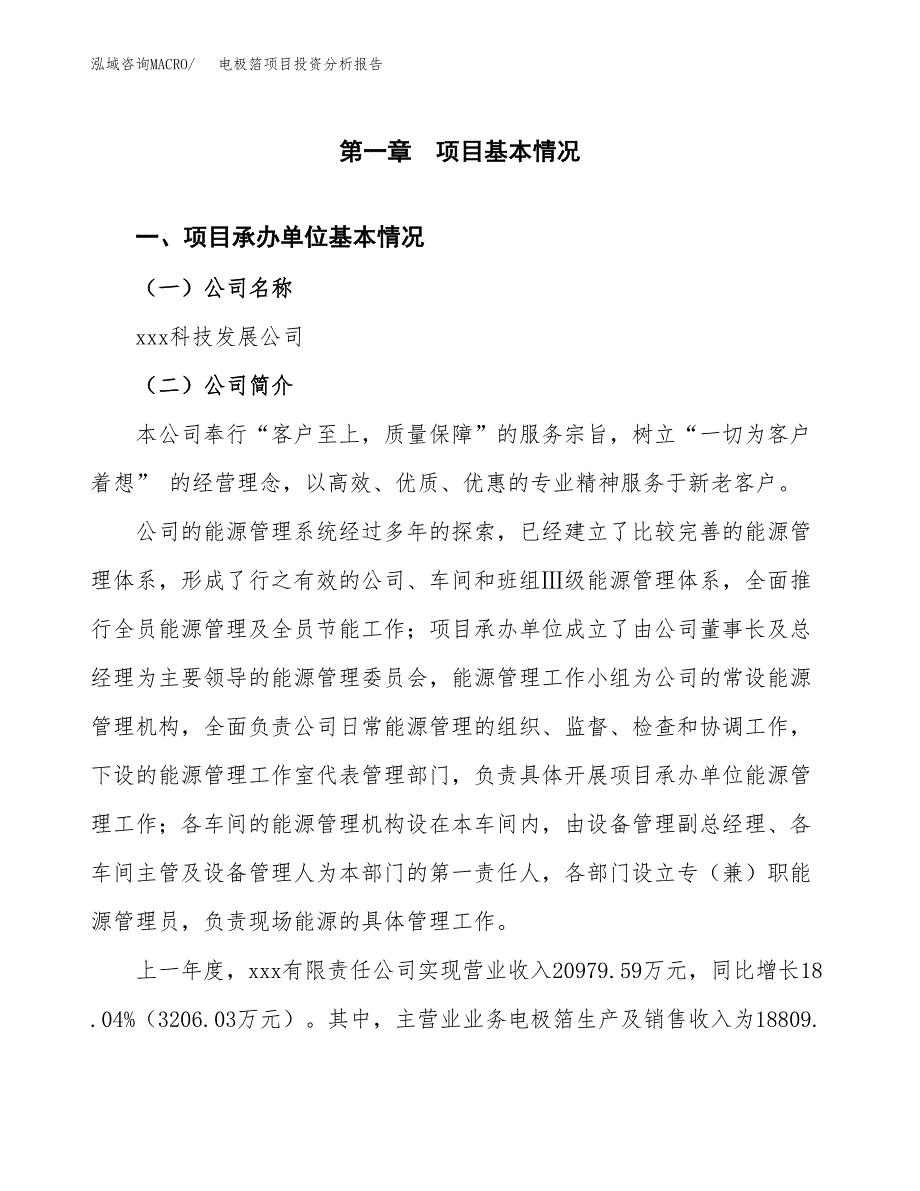 电极箔项目投资分析报告（总投资13000万元）（52亩）_第2页