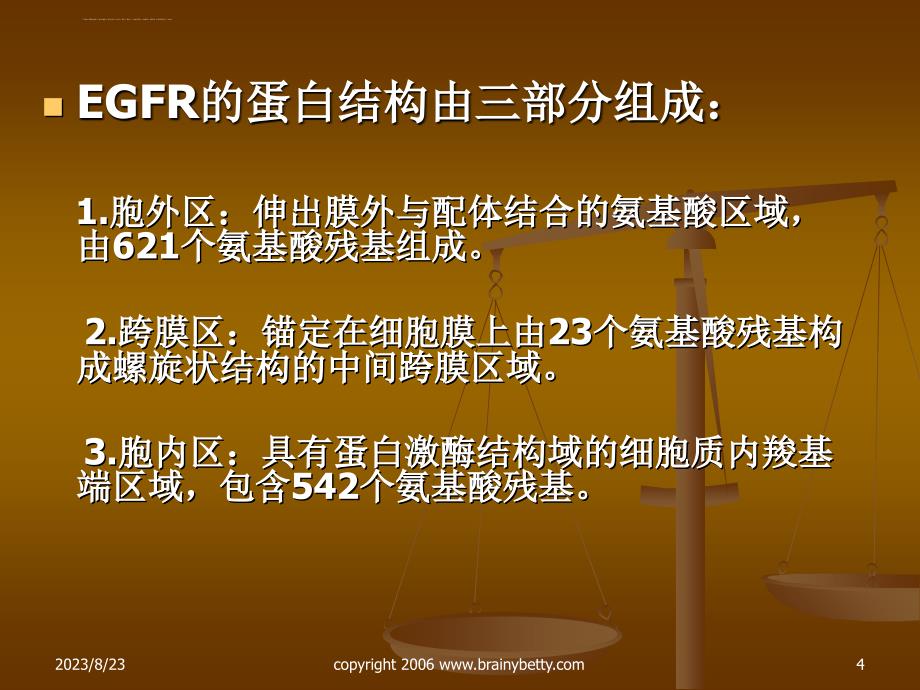 以egfr为靶点的抗肿瘤药物.ppt_第4页