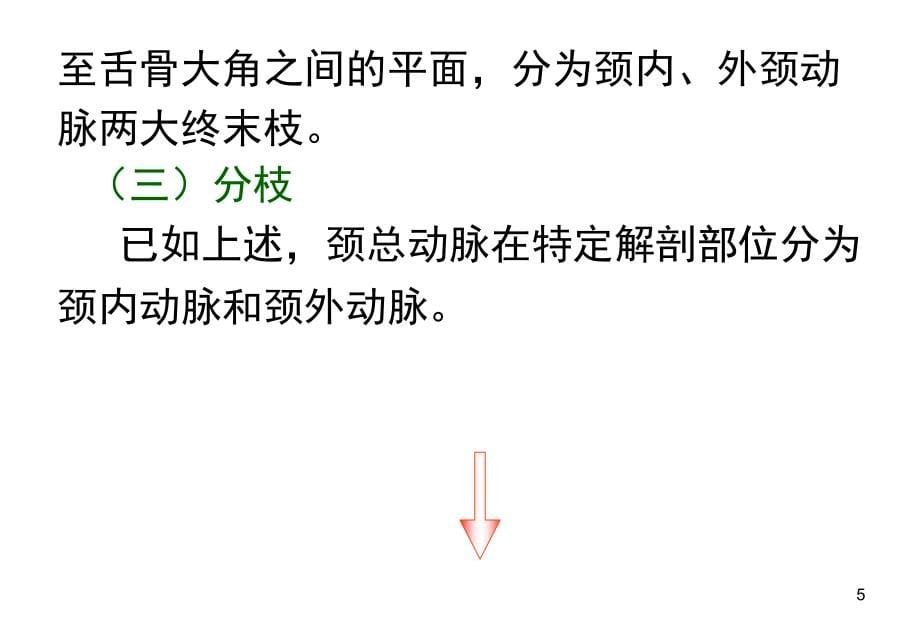 颈、上肢、下肢动脉的应用解剖.ppt_第5页