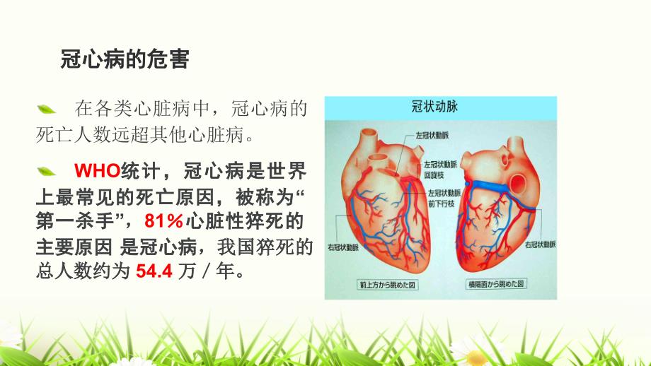 中医药养生保健治疗冠心病资料_第2页