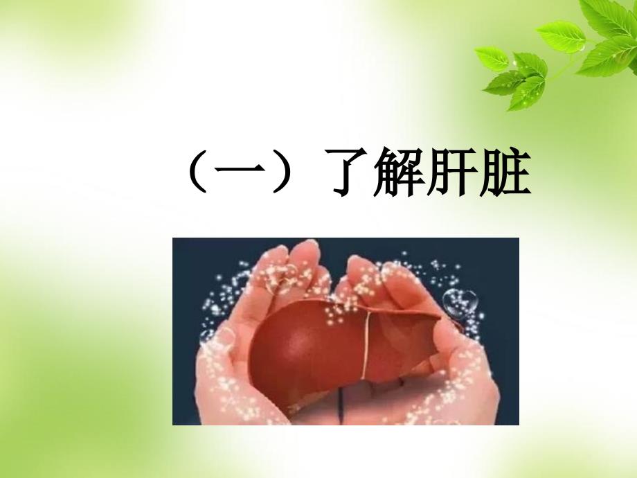 原发性肝癌健康宣教.ppt_第4页