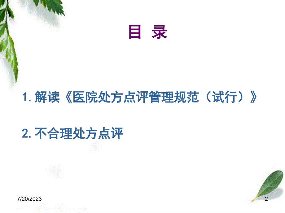 规范处方点评-促进合理用药(修改)ppt.ppt_第2页