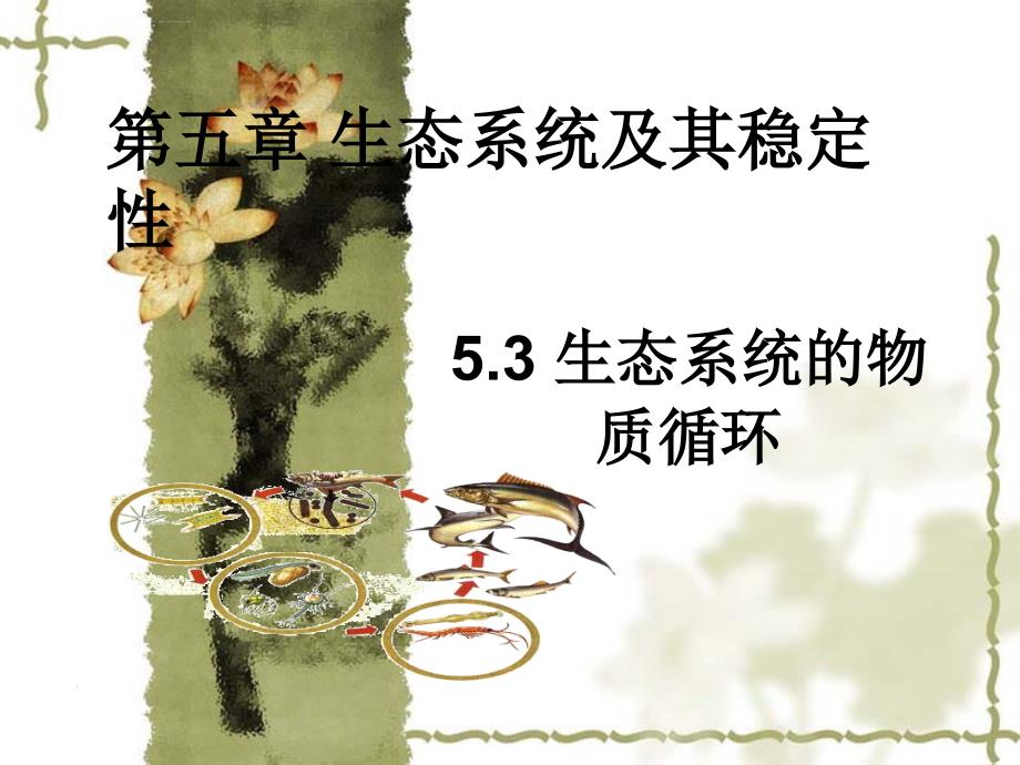 生态系统的物质循环课件.ppt_第1页