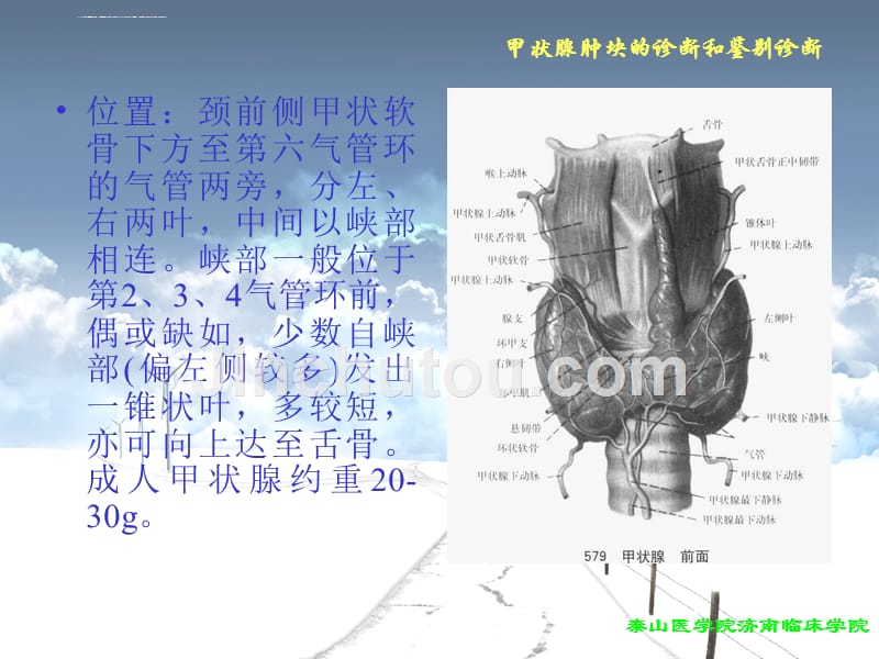 甲状腺肿块的诊断和鉴别诊断.ppt_第5页