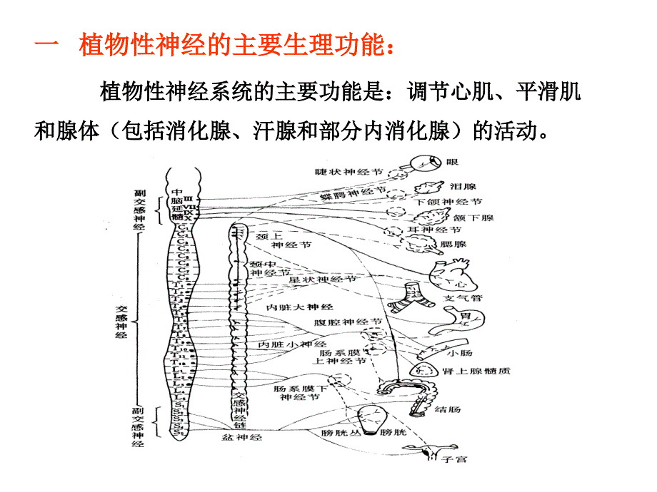 药理学课件05.ppt_第2页