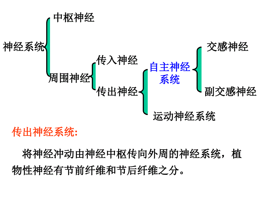 药理学课件05.ppt_第3页