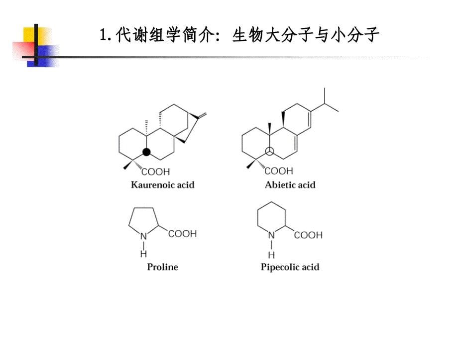 代谢组学的研究进展.ppt_第5页