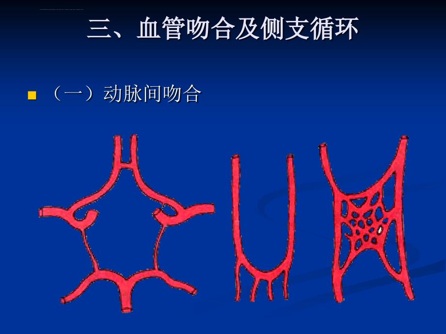 人体解剖学脉管系统-动脉系统.ppt_第3页