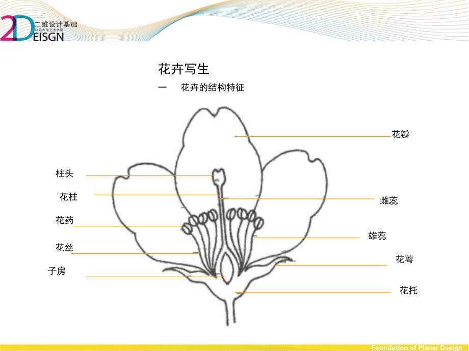 第三章-装饰图案的素材.ppt_第2页