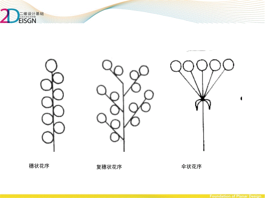 第三章-装饰图案的素材.ppt_第4页