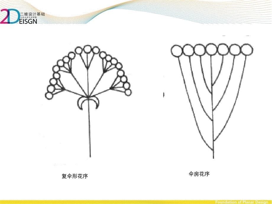 第三章-装饰图案的素材.ppt_第5页