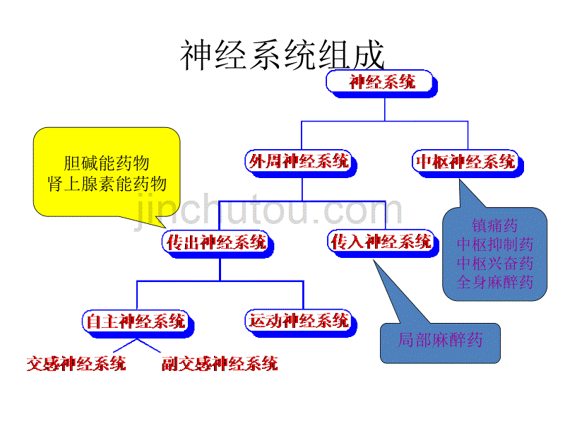 药理-胆碱受体激动和阻断药-江俊麟2012.9.ppt_第1页