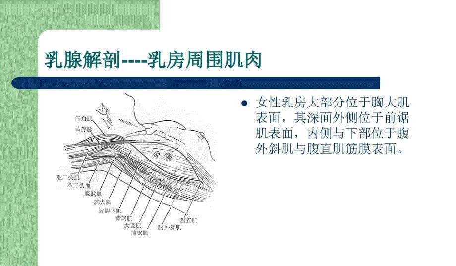 早期乳腺癌放疗.ppt_第5页