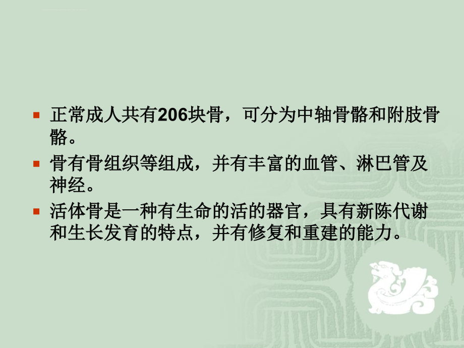 第三章---运动系统1_2.ppt_第4页