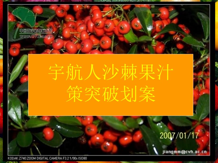 宇航人v9沙棘汁策划案.ppt_第1页