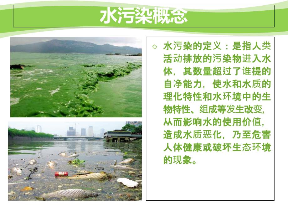 环境法水污染ppt.ppt_第2页