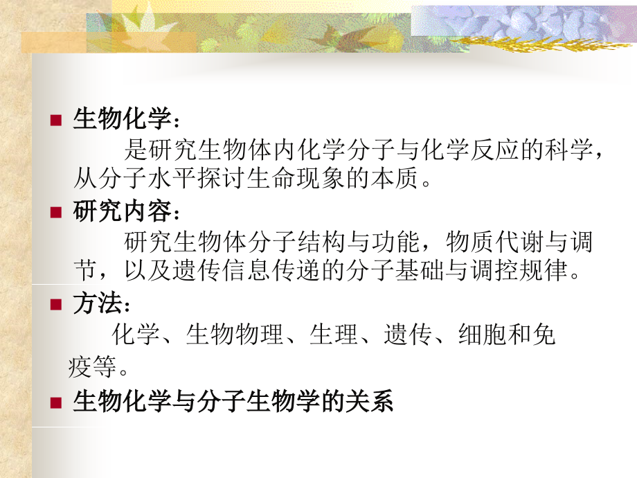 蛋白质课件.ppt_第2页