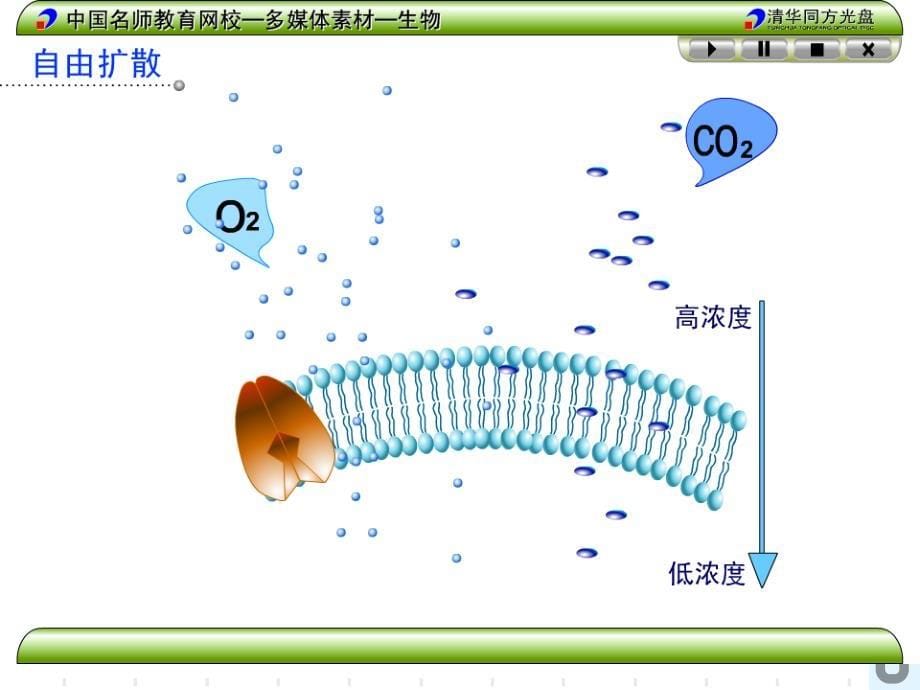 公开课物质跨膜运输的方式-ppt.ppt_第5页