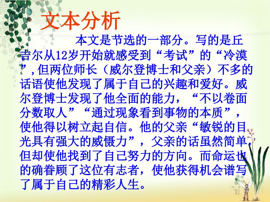 《我的早年生活》ppt课件（定）.ppt_第3页