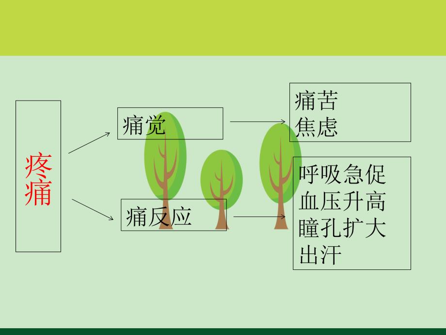 术后镇痛泵科学应用和护理_第4页