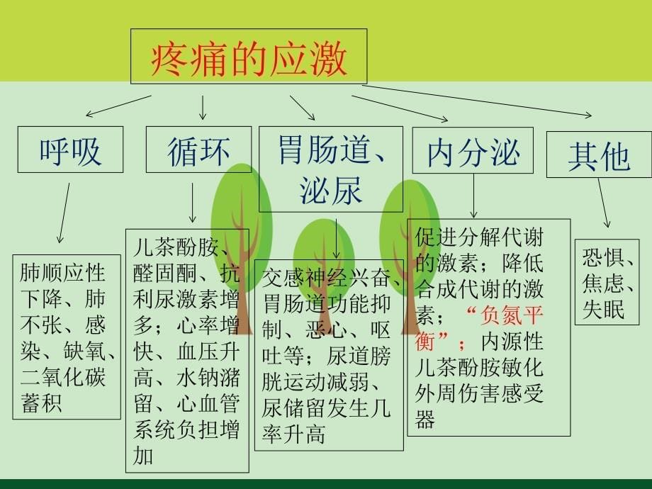 术后镇痛泵科学应用和护理_第5页