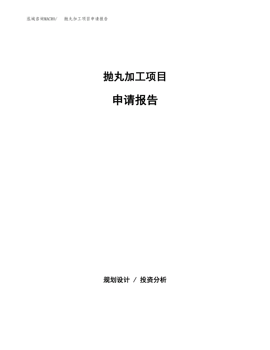 抛丸加工项目申请报告(目录大纲及参考模板).docx_第1页