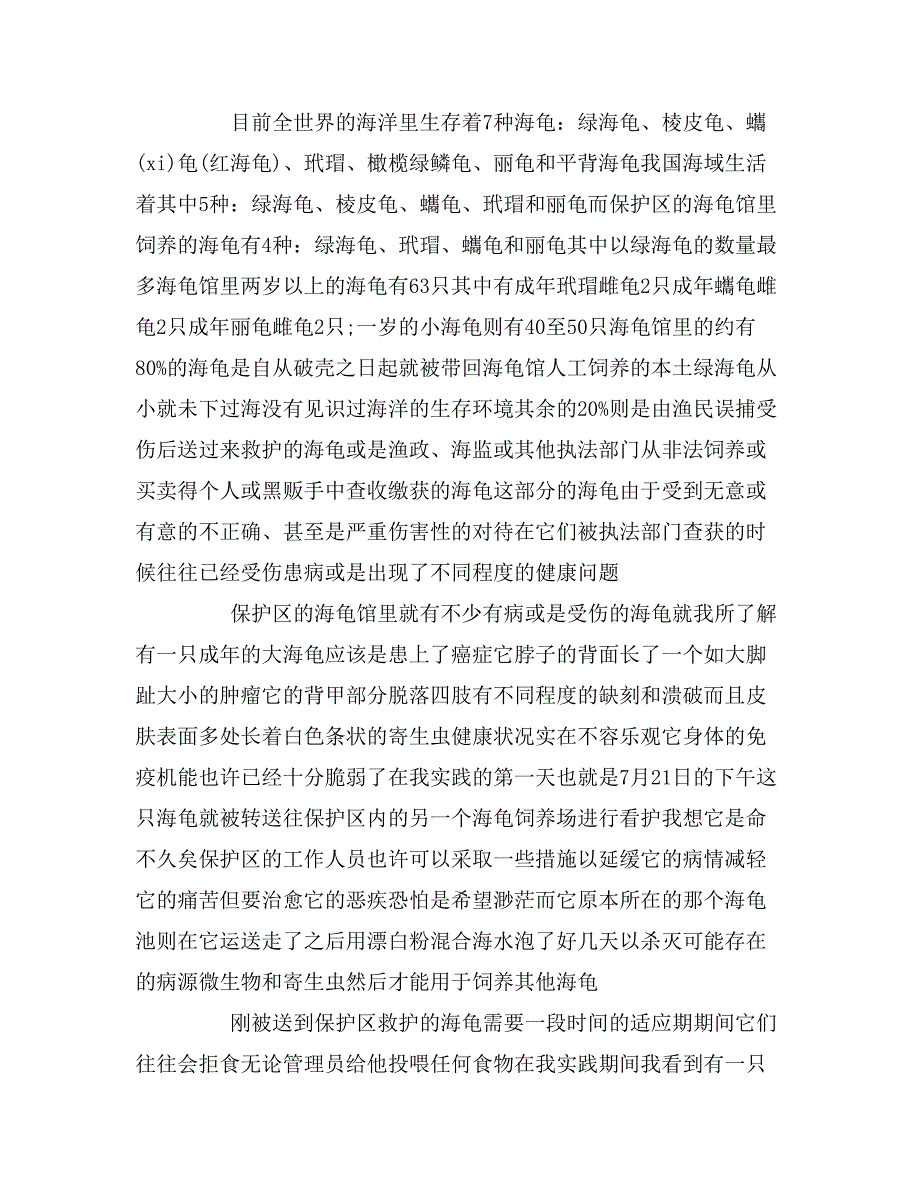 2019年海龟保护区实暑期社会实践报告_第4页