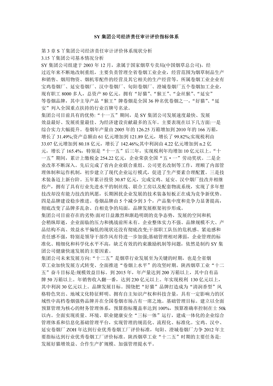 sy集团公司经济责任审计评价指标体系_第1页