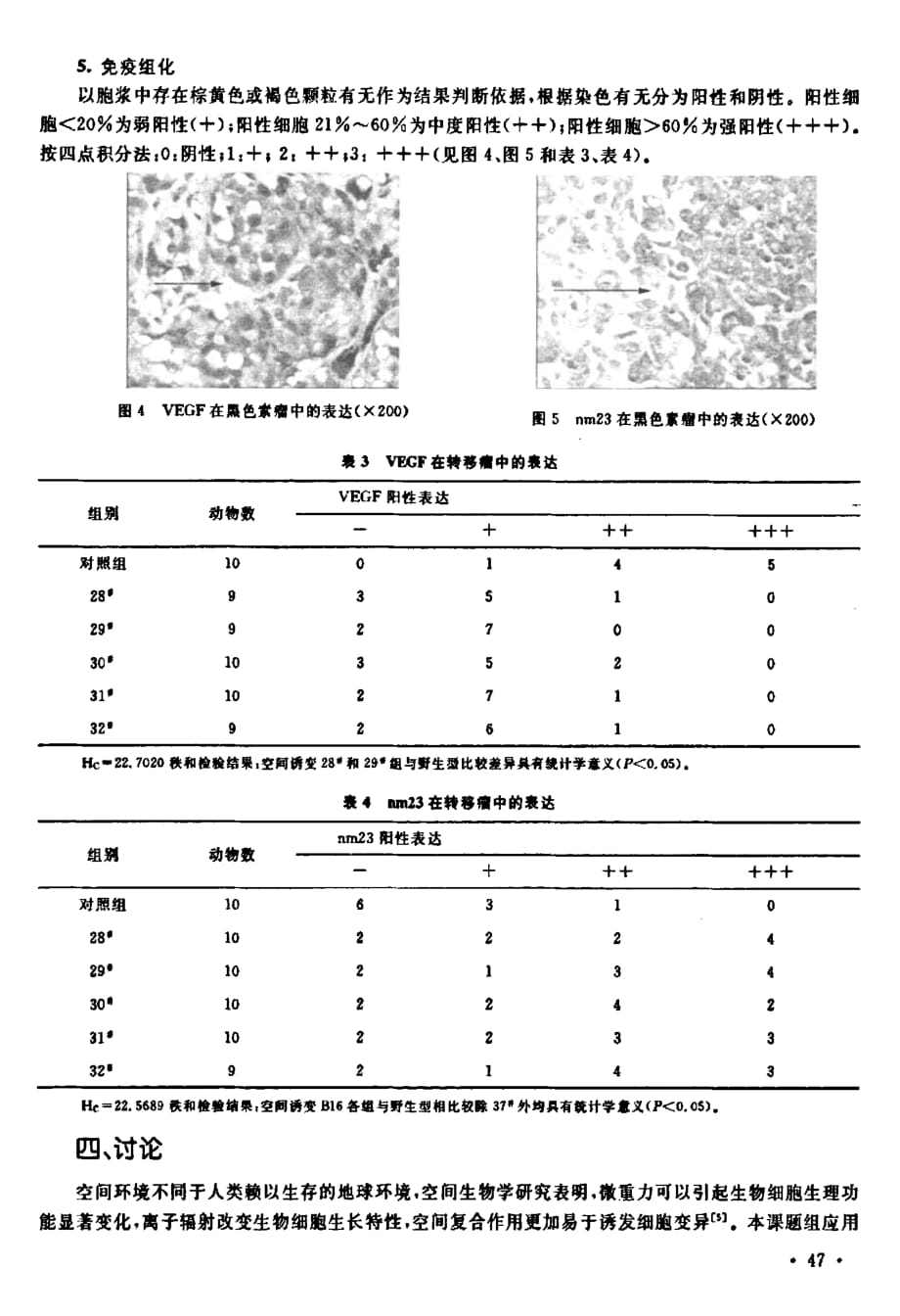 空间环境对B16细胞侵袭和转移影响的体内外实验研究_第4页