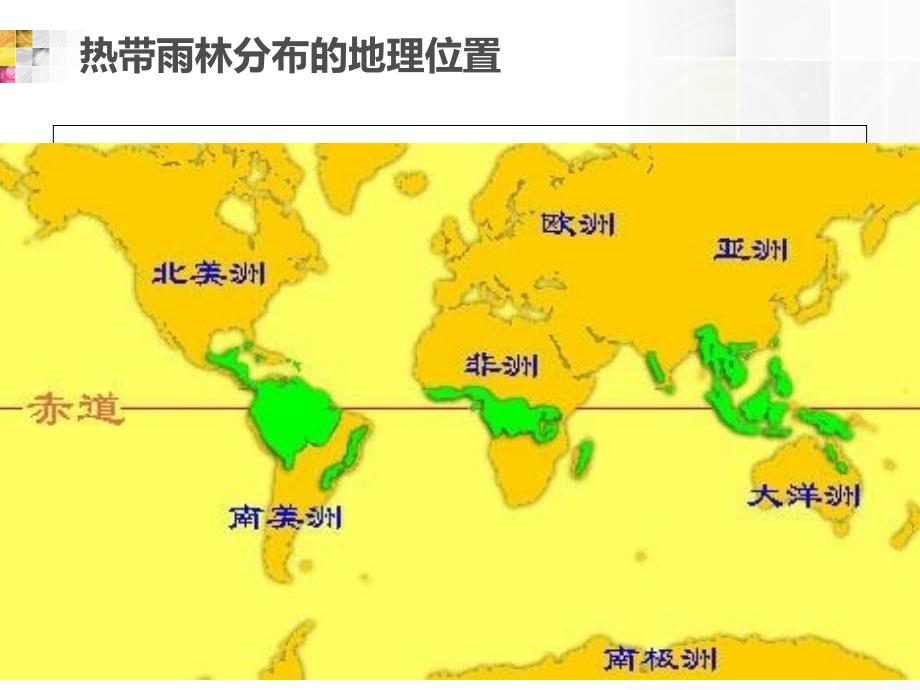 热带雨林的生物多样性保护_第3页