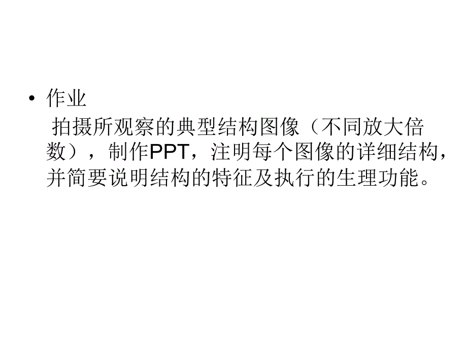 实验五 生殖器官_第3页